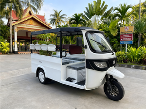 Tuk-tuk tropical à 8 places pour les trajets quotidiens, les navettes, les passagers <span class=keywords><strong>et</strong></span> les visites touristiques en Asie du Sud-Est, E-rickshaw - Product Image 3
