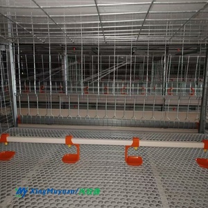 Melhor Venda Sistema Automático de Alimentação e Bebedouro de Alta Qualidade e Baixo Preço para Frangos de Corte e Poedeiras em Fazendas Avícolas - Product Image 4