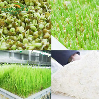 Système hydroponique intelligent multi-spans 40HQ ultra-résistant pour la culture de légumes-feuilles agricoles en location – Meilleure vente