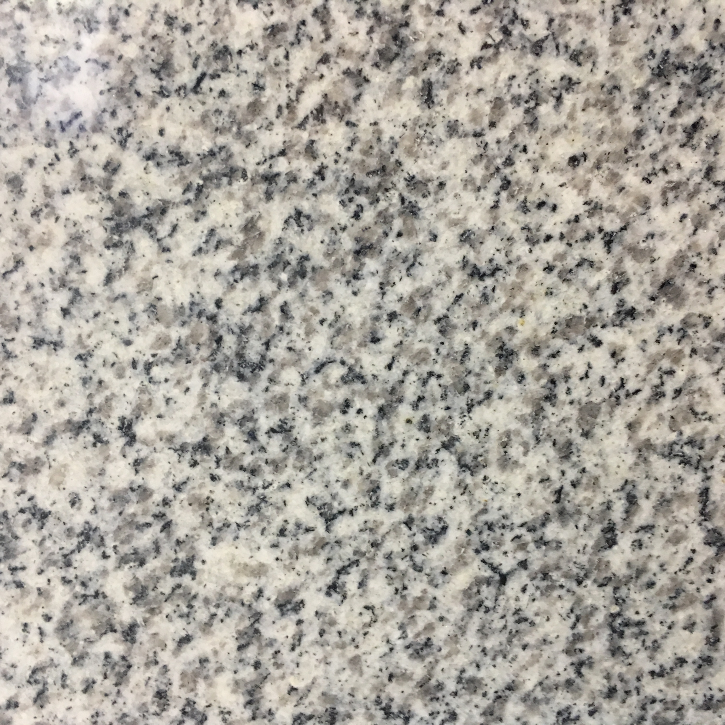 Бетта порно Бетта порно