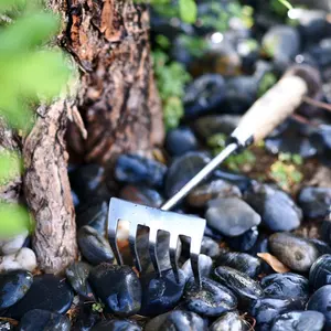 223 # Cyrus Bestseller Outdoor Garten Werkzeuge Einschließlich Kelle Hand Rake Pflanzmaschine Weeder Garten Handwerkzeuge Set