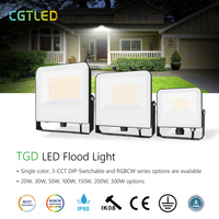 Lámpara Proyector LED de Alta Luminosidad, Impermeable IP65, 50W-300W, para Exteriores y Almacenes