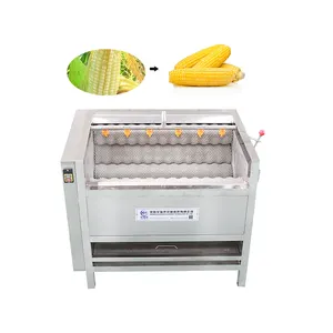 Fresh Ginger Brush Cleaning Machine For Food Industry Email Marketing