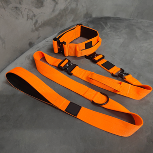 <span class=keywords><strong>Collar</strong></span> de perro de lujo y <span class=keywords><strong>collar</strong></span> de perro táctico de correa de <span class=keywords><strong>2</strong></span> pulgadas - Product Image 4