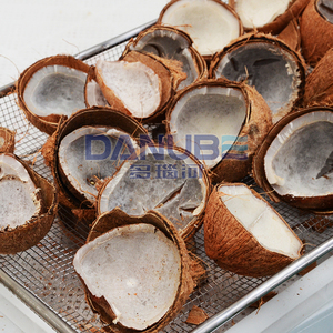 Tray Type Heat Pump Drying Chamber PLC Controlled Industrial Fruit Vegetable Herb Seafood Dehydrator - Product Image 4