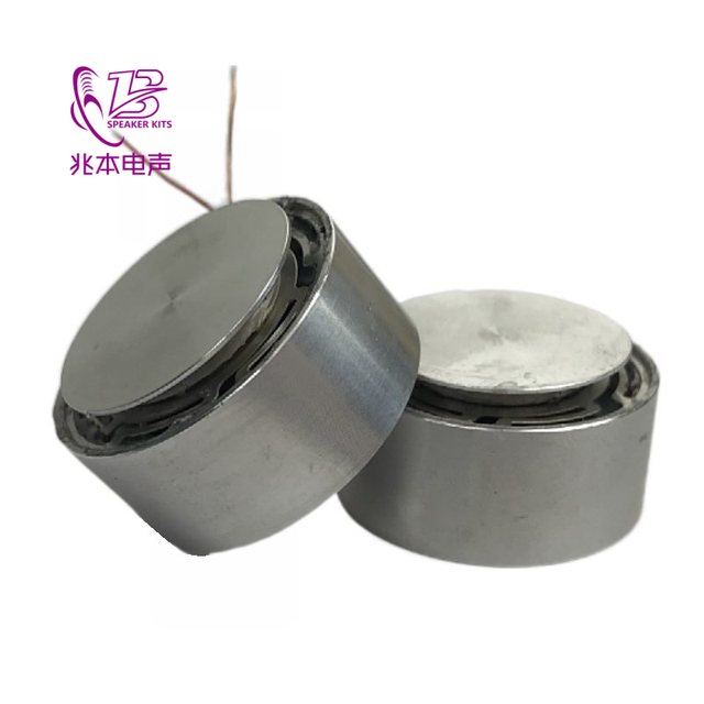 Factory Direct Sale of 26MM Neodymium Iron Boron Magnets for Vibration Oscillators and Speakers Vibration Resonance Speakers.