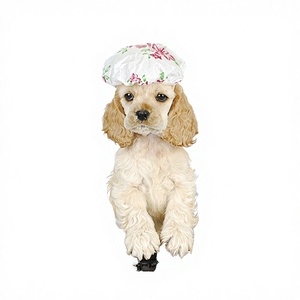 Shampooing sec en mousse pour animaux de compagnie, shampooing sans eau pour chien, outil de toilettage pour chiens et chats - Product Image 2