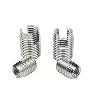 Inserts filetés autotaraudeurs de type 302 (acier inoxydable) GBT 24425.1-2009 avec finition de passivation pour la vente en gros par le fabricant