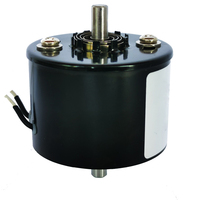 Aangepaste roterende elektromagneet DC24V 2.4A links/rechts 25 graden draaiend voor fruit sortering, rechtsom draaiende solenoïde