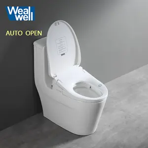 Wealwell-artículos sanitarios de limpieza automática, bidé con tapa automática, apertura automática