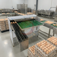 Trieuse automatique d'œufs de poule, classez la taille, trieuse à petite échelle triez la Machine à œufs par poids