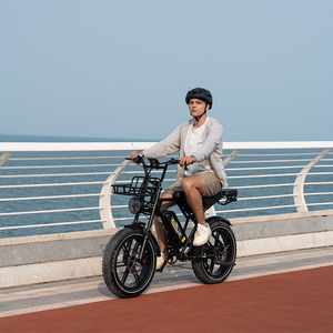 KOOLUX X9 250W Vélo électrique tout-terrain à pneus larges avec batterie au lithium, moteur sans balais et autonomie de 70-150 km - Product Image 1