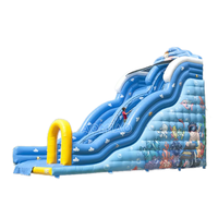 Offre Spéciale géant toboggan gonflable maison de rebond gonflable
