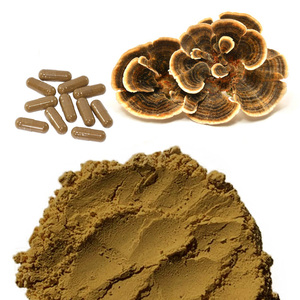 Cápsulas de cogumelo <span class=keywords><strong>versicolor</strong></span> orgânico, cápsulas de pó de cogumelo da peru, varal - Product Image 1