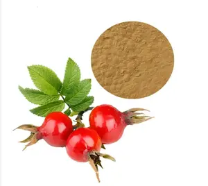 Factory Supply Natural Organic Rose Hip Fruit Extract Water Soluble Rose Hip Extract