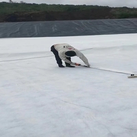 Tissu non tissé en polypropylène PP 200g pour le durcissement du béton, la filtration des bassins piscicoles, la maintenance routière, le drainage, la couche filtrante d'isolation