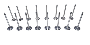 Ea888 इंजन वाल्व किट 06d109601m 06d109611l a4 a5 vw गोल्फ Gi Tiguan Pasat - Product Image 5