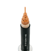 Câble d'alimentation monophasé ZC-YJV 0.6/1kV 1x185mm² en cuivre XLPE haute capacité pour l'entrée principale des installations utilitaires