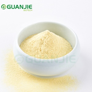 אבקת מנגו מיובשת בהקפאה בסיטונאות, מחיר מפעל, אבקת מנגו לתוספים תזונתיים - Product Image 2