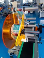 Machine d'étiquetage automatique de surface pour sachets plats, personnalisée, électrique, avec PLC