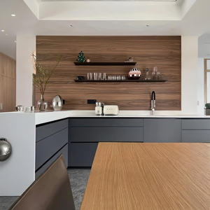 Meuble de cuisine modulaire, plan de travail en acier inoxydable, plan de travail en granit, meuble de cuisine moderne, évier de cuisine - Product Image 2