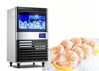 Machine à glace en flocons à refroidissement par air et eau, facile à contrôler, fournie directement par l'usine, pour la pêche