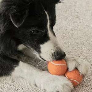 Balle de tennis en caoutchouc durable et écologique pour chiens - Jouet d'exercice interactif pour l'extérieur - Product Image 2