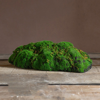 Gazon artificiel, plantes vertes bioniques, boules de mousse, plantes, micro-paysage, aménagement paysager, ornements décoratifs
