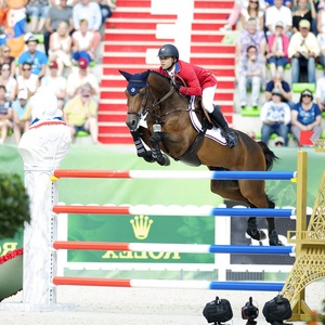 <span class=keywords><strong>Ostacoli</strong></span> Equestri Professionali per Allenamento Aochi Factory con Pali in PVC e Salti per Cavalli in Alluminio a Costo Contenuto - Product Image 3