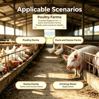 Poudre de Supplément Alimentaire YTIYIN pour Bétail : Optimise la Fonction des Cellules Immunitaires et Atténue la Charge Inflammatoire pour les Fermes de Porcs et de Poulets