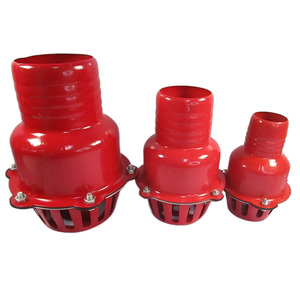 Kit de Accesorios para Válvula de Retención de Bomba de Agua de 2-3-4 Pulgadas para Sistemas de Riego Agrícola, Incluye Junta de Sellado e Interfaz de Filtro de Hierro - Product Image 4