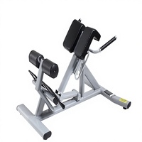 Chaise romaine commerciale pour hyperextension, banc réglable à 45 degrés, robuste, en acier, pour l'entraînement de la force musculaire