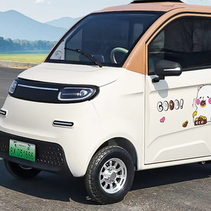 Mini Electric Vehicle for Seniors and Teens 4-Seater New Energy Low-Speed Car - Product Image 6