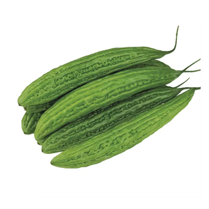 Gourde amère en gros, fraîche et naturelle, pour la préparation de plats végétaux, destinée aux exportateurs - Product Image 4