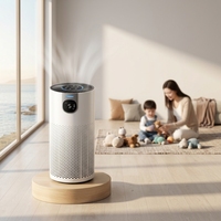Purificateur d'air OEM ODM d'usine avec filtre HEPA au charbon actif pour éliminer la poussière, les odeurs et la fumée