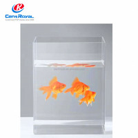 CentRoyal Marken-Acryl-Standdisplay-Box Maßgefertigter Transparenter Behälter Wasserbeständig ROHS-Zertifiziert Individuelles Logo