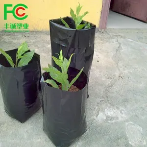 Plastik Pe siyah bitki kreş poli çanta delikli tarım tohum kreş tencere dikim çanta büyümek Nurseries bitkiler için poli