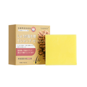 Vente en Gros de Soins des Cheveux Nettoyage en Profondeur Adoucissant Améliorant les Frisottis Gingembre Shampooing Nourrissant pour les Cheveux - Product Image 1