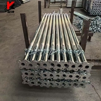 Nuevas llegadas 2026: Puntales de andamio de acero de alta resistencia galvanizados en caliente para la construcción de edificios de gran altura