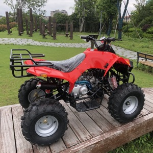 <span class=keywords><strong>Quad</strong></span> chinois 125cc pour adultes, vente flash, avec certification CE - Product Image 5