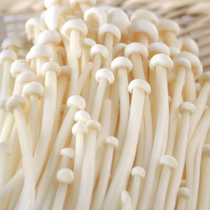 Chine Champignon frais de haute qualité Origine Jamur Enoki - Product Image 2