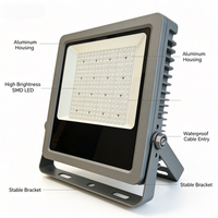 Projecteur LED professionnel de haute qualité pour extérieur et intérieur, étanche, avec corps en aluminium, indice de protection IP66, pour stades sportifs