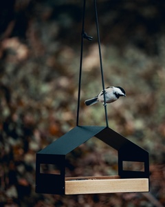 Moderna casa per uccelli vogue tipo appeso uccelli in legno nero accessori alimentatore cortile esterno decorazione del giardino casa per uccelli - Product Image 4