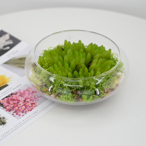 Nhân Tạo Hiện Đại Mọng Nước Thiết Lập Trong Bình Thủy Tinh Bảo Trì Thấp Faux Cây Xanh Cho Nhà Văn Phòng Bàn Trang Trí Nội Thất - Product Image 3