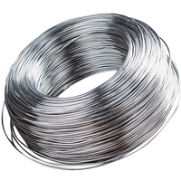 Câble métallique en acier inoxydable SS316, vente en gros, économique et de haute qualité