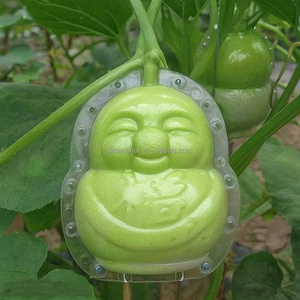 Bán buôn nhựa trong suốt bí ngô dưa hấu tăng trưởng hình thành dưa chuột dưa đỏ cà rốt trái cây và rau quả định hình khuôn - Product Image 4