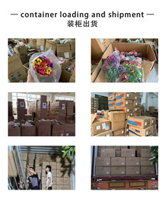 Chất Lượng Cao Cây Giáng Sinh Trang Trí Thiết Lập Đẹp Thân Thiện Với Môi Bàn Bảng Top <span class=keywords><strong>Mini</strong></span> Cây Giáng Sinh Cho Lễ hội Trang Trí - Product Image 6