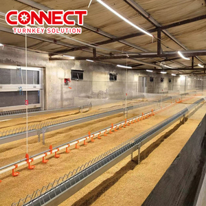 대규모 자동 가금류 농장 축산 바닥 라인 피더 새로운 육종가 닭 사육 기계 가금류 농장 시스템 - Product Image 3