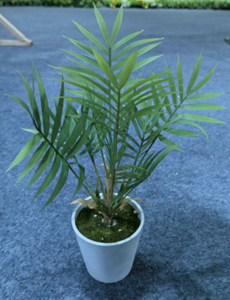 Planta Artificial Pequeña en Maceta al por Mayor, Bonsái Artificial de Plástico Pequeño, Decoración de Oficina - Product Image 5