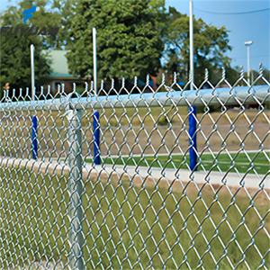 Maille de fil de fer galvanisé de 8 pieds pour l'aéroport, pliage de 1,5 pouce, rouleaux de clôture en mailles de chaîne, clôture de ferme, clôture hexagonale en diamant - Product Image 3